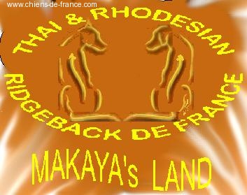 Mayaka's land
